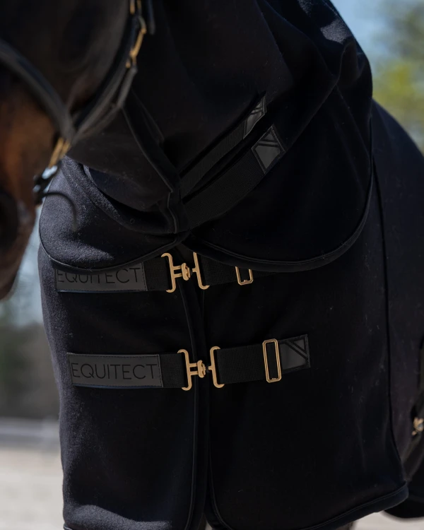 champion 10.jpg