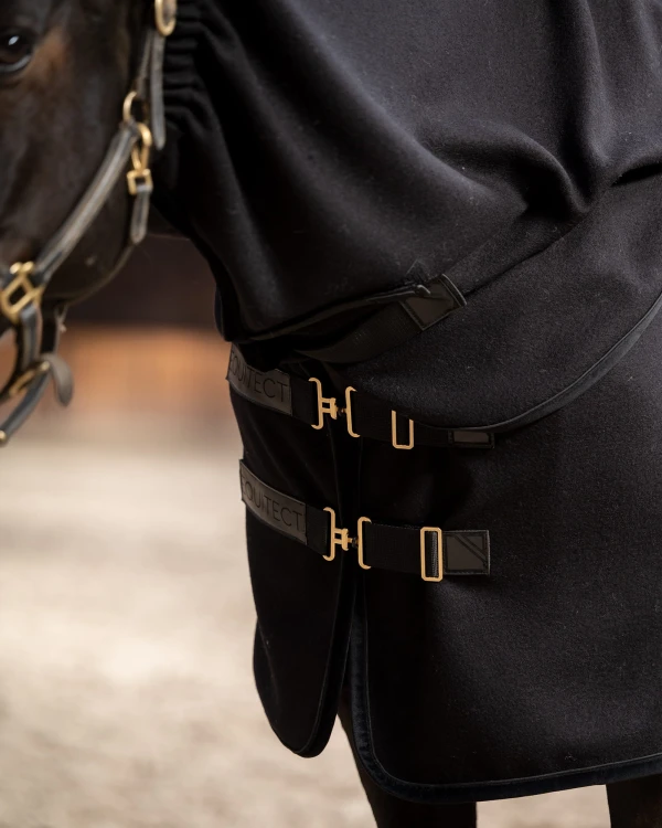 champion 01.jpg