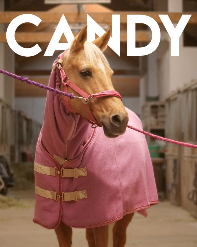 derka dla konia wełniana candy